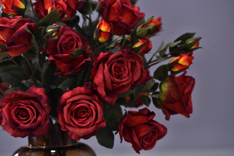 Factory wholesale of 5-head simulated rose with charred edges, retro Greek rose, living room, hotel and homestay photography props rose pic 12