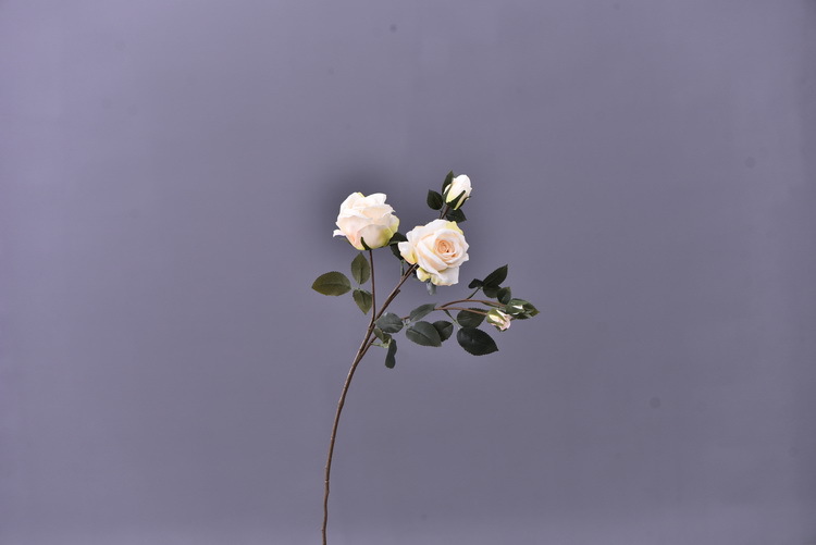 5 pieces of retro charred edge rose artificial flower decoration, artificial flower imitation dried flower, home soft decoration withered and dry, wedding Lanjin artificial rose wholesale pic 71