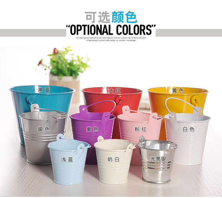 婚庆产品家居装饰摆件金属工艺品迷你铁皮小铁桶 创意马口铁多肉植物花盆详情2