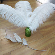 The feather fan is a special prop for the dance performance of the ostrich-colored feather fan used by the palace film crew pic 9