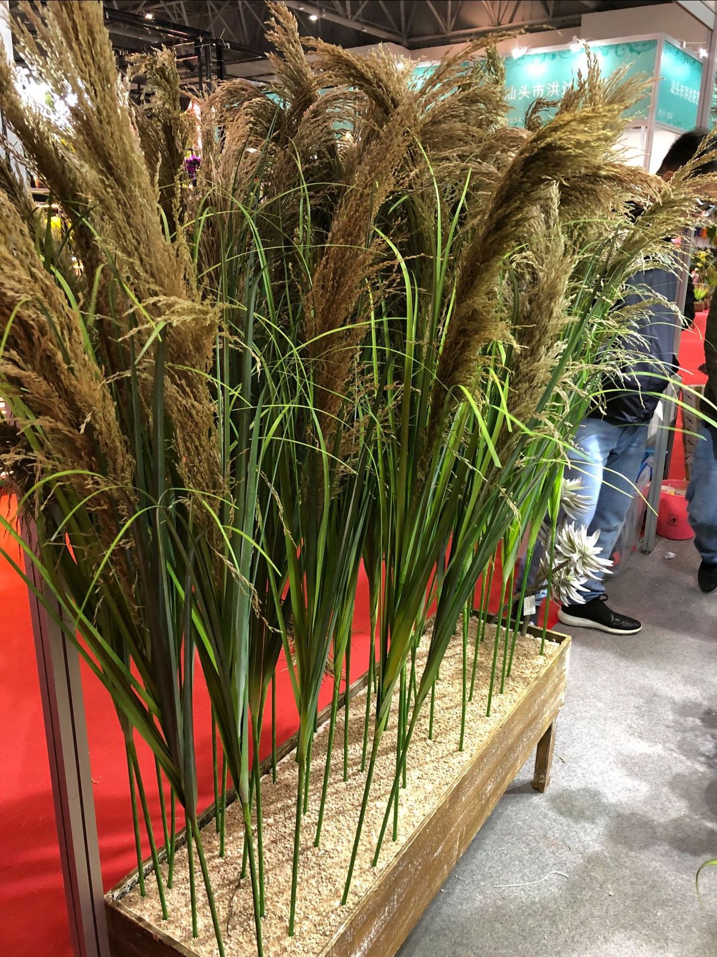 Bionic reed, pink muhly grass, sunny grass, indoor decorative green plants, potted plants, simulation plants, wedding props, decorative dogtail grass pic 22