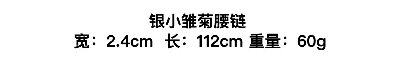 新款蝴蝶金属甜美女腰链跨境春季裙子百搭亚马逊小雏菊银色腰带详情4