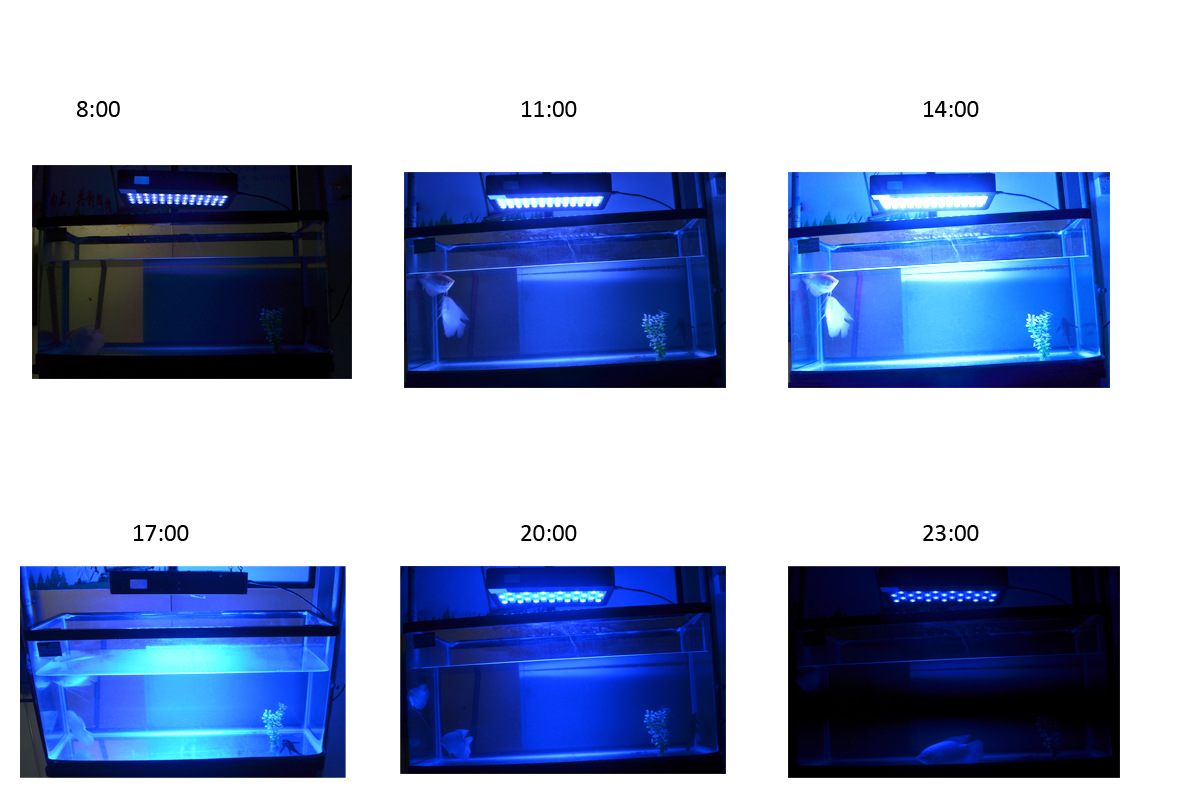 Planta que crece la luz 150W el programa de control remoto inteligente establece el oscurecimiento automático puede simular el amanecer y la puesta del sol pic 13