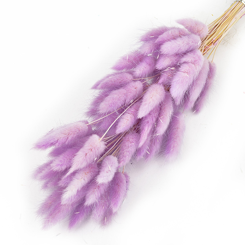 兔尾草干花真花永生花满天星干花花束批发家居装饰插花拍摄道具                               详情22