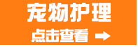厂家批发 七彩宠物牵引绳1.0cm 狗狗牵引绳胸背带 猫牵引带狗用品详情6