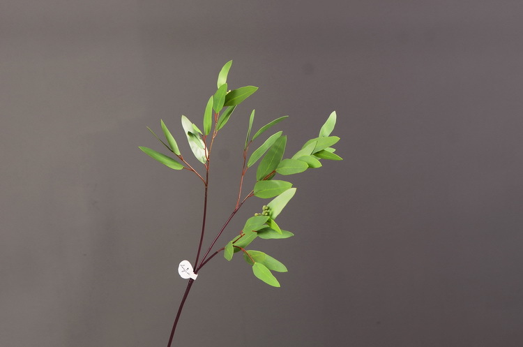 Dongli Flower Industry, the original manufacturer, offers direct sales of green plants in stock, wholesale of artificial leaves, round leaves with fruits, eucalyptus leaves, eucalyptus leaves, and one-piece consignment pic 24