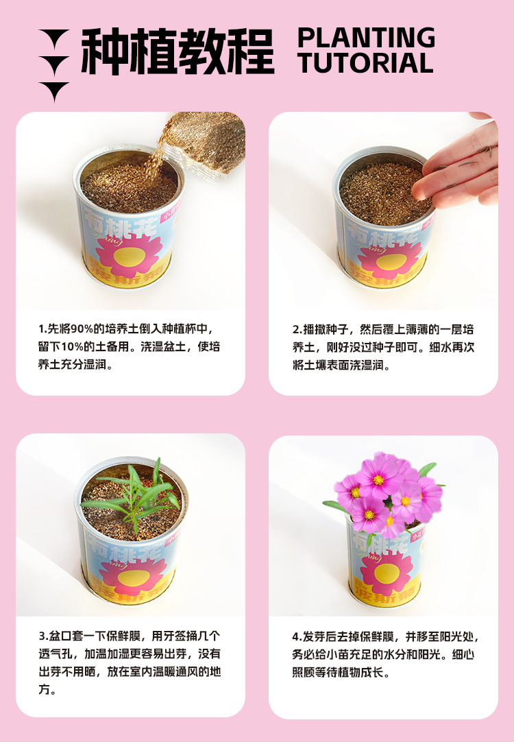 小学生科教玩具春天儿童种植迷你小盆栽花卉室内桌面种花易拉罐头详情14
