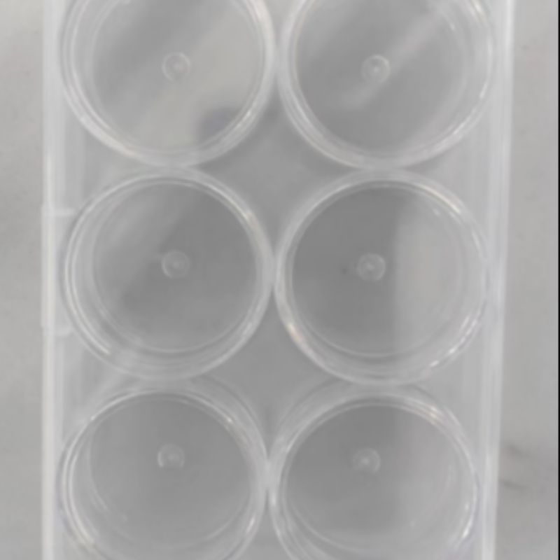 圆瓶6个套装密封塑料透明圆瓶首饰隐形美瞳整理盒面霜乳液圆瓶0772详情1