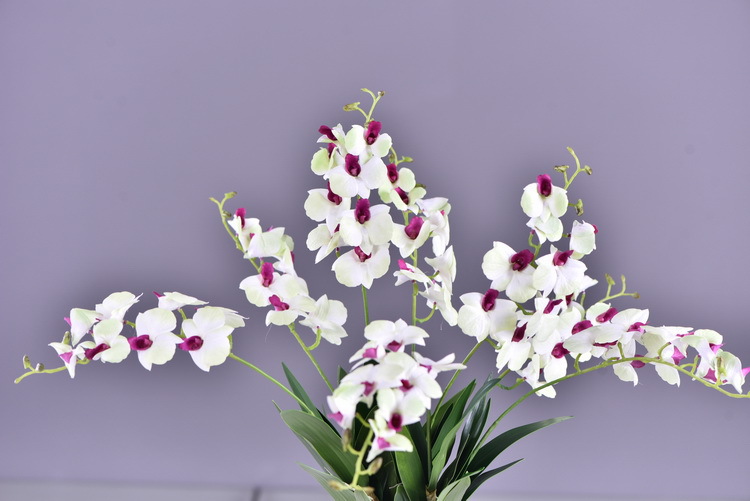 Factory direct sales of high-end artificial dendrobium, wholesale of artificial flowers with leaves, home decoration of Phalaenopsis and Lanjin artificial plants pic 20