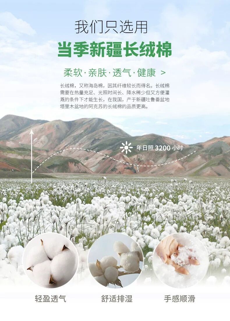 100%纯棉儿童短袖T恤女童夏装2024新款打底衫大中小童洋气上衣潮详情1