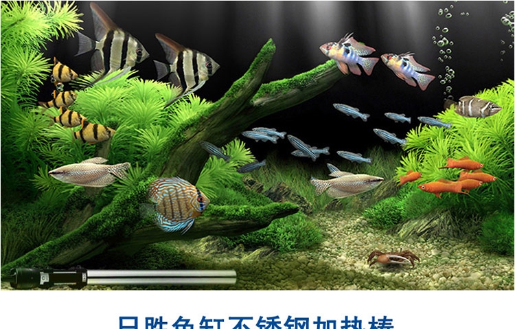 Supply aquarium heating rods, electric heating rods, fish pond heating tubes, and aquarium tank heating equipment pic 7