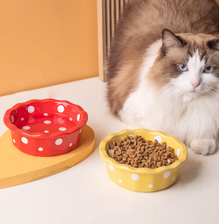 陶瓷猫碗花边波点宠物碗防黑下巴猫食盆猫粮碗小型犬泰迪宠物用品详情11