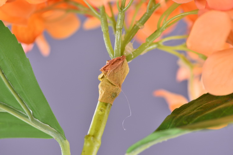 Factory supply of artificial hydrangeas, high-end hydrangea wholesale, wedding, home, hotel landscaping, main flowers, decorative artificial flowers pic 10