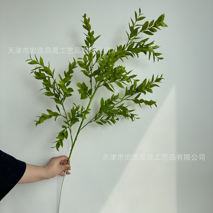 微信图片_202304021450458_副本