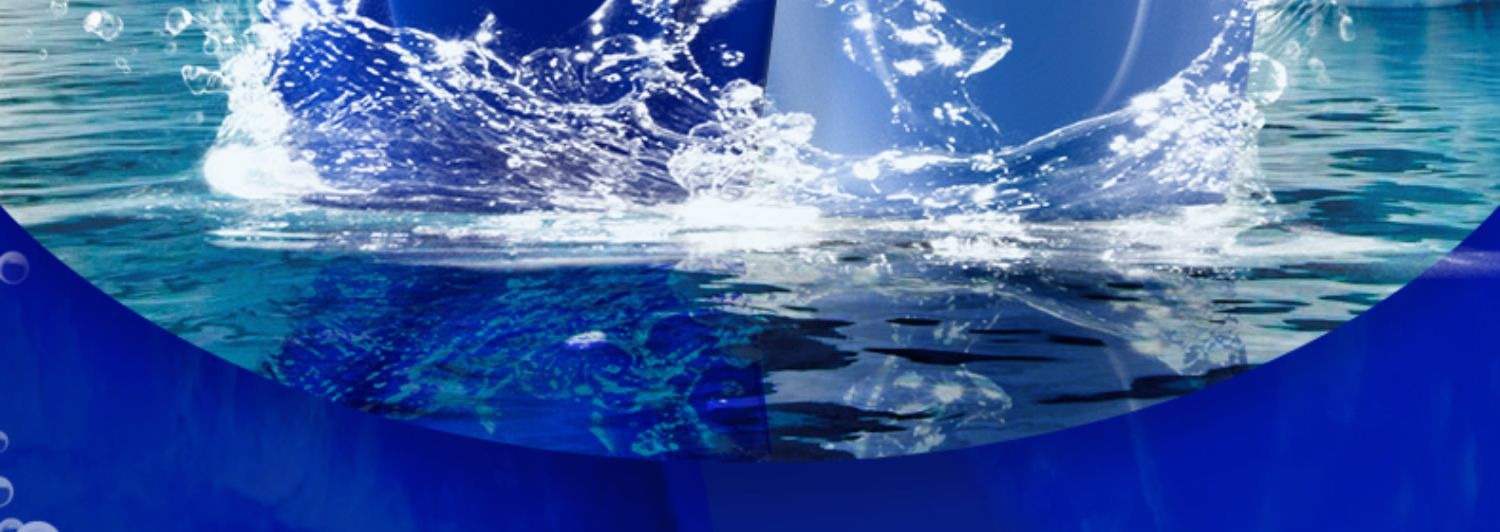 Wholesale Water Secret Shampoo: Oil-control, Volumizing shampoo, Dandruff removal, itch Relief, smoothness improvement, frizz Genuine product pic 2