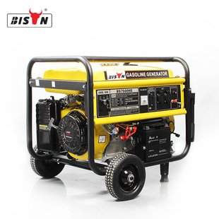 Bison小型汽油发电机组3kw手启动220v单相家用便携式发电机户外详情5