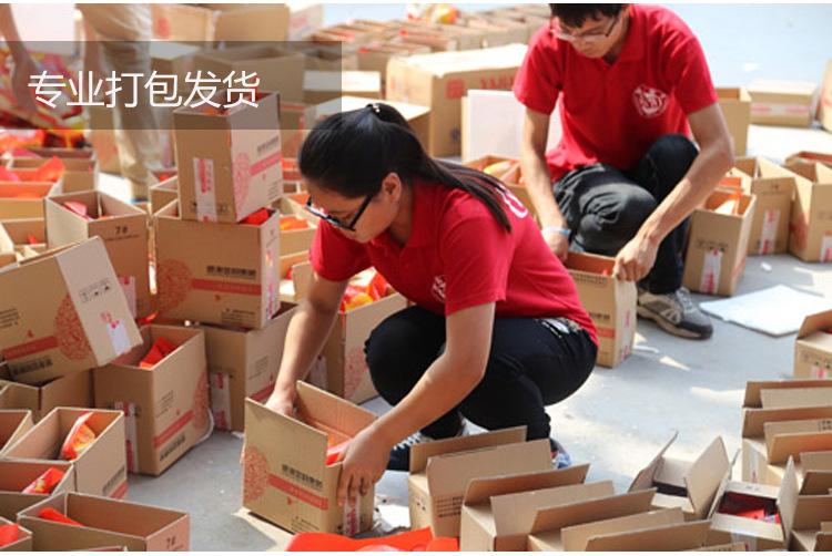 厂家批发跨境儿童智能手表GPS位置信息拍照Q15学生智能电话手表详情26
