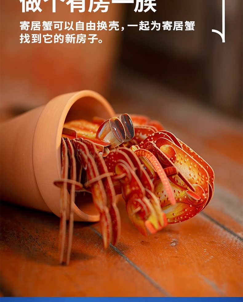 梦巴格3D立体纸拼图益智模型手工拼插装玩具自然科普橙红陆寄居蟹中国地理拼图详情6