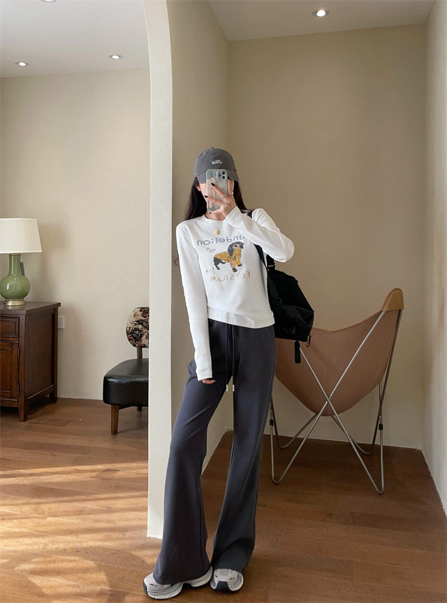 Playful and youthful embroidered printed puppy loose straight top straight-shoulder round-neck long-sleeved T-shirt for women 2025 early Spring G021418 pic 16