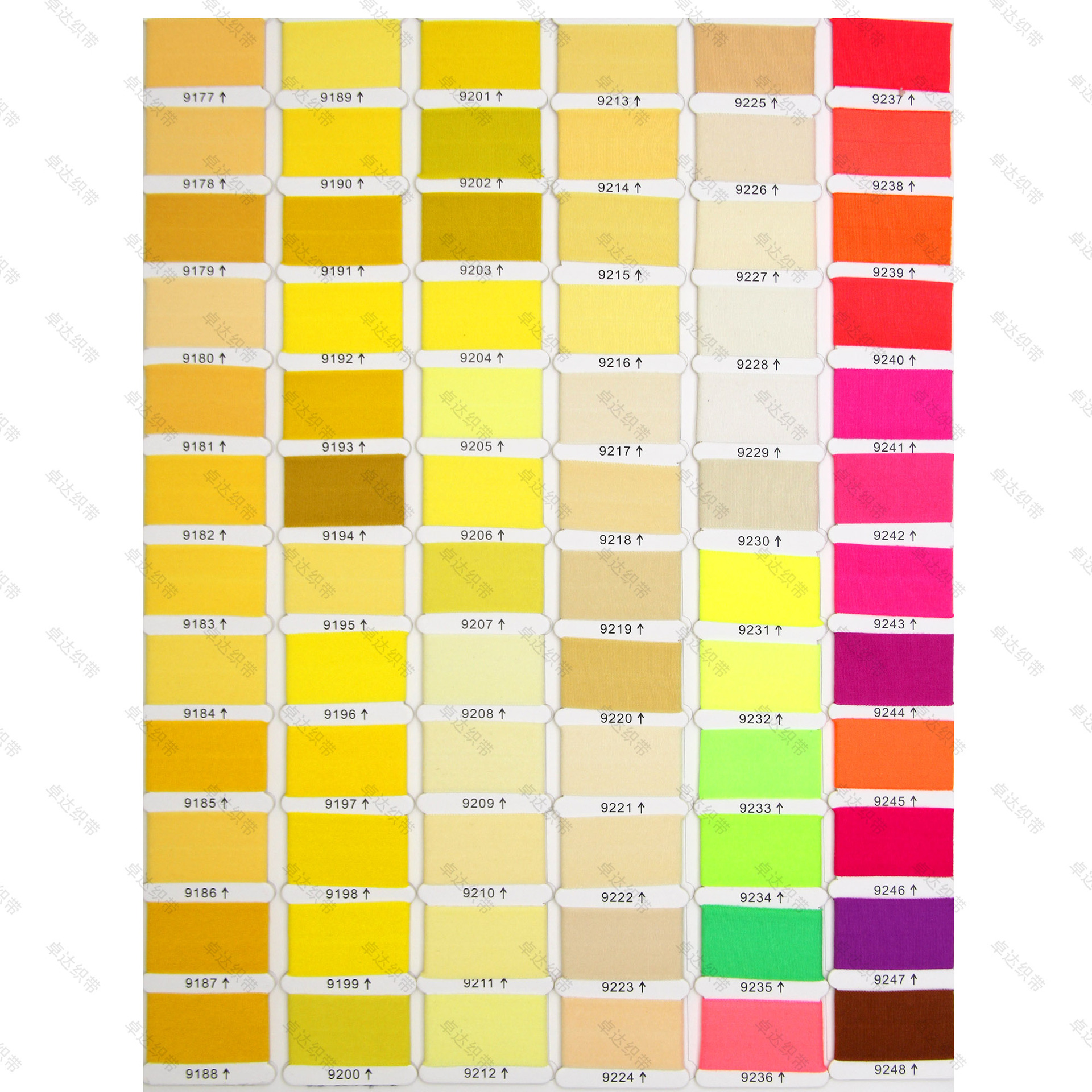 In stock: 1250 color 1cm and 2cm folded, 7070, flat nylon underwear with edge straps, elastic bands, sock cuffs, and rolled edges pic 43