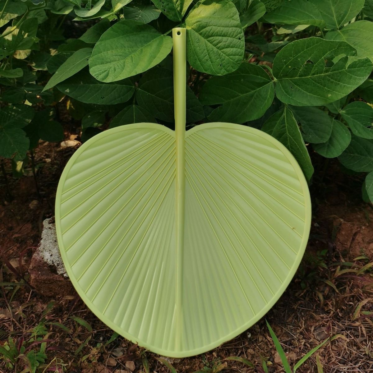 新款手摇大蒲扇加厚加大防摔坏扇子夏季扇子家用芭蕉扇子老式葵扇详情6