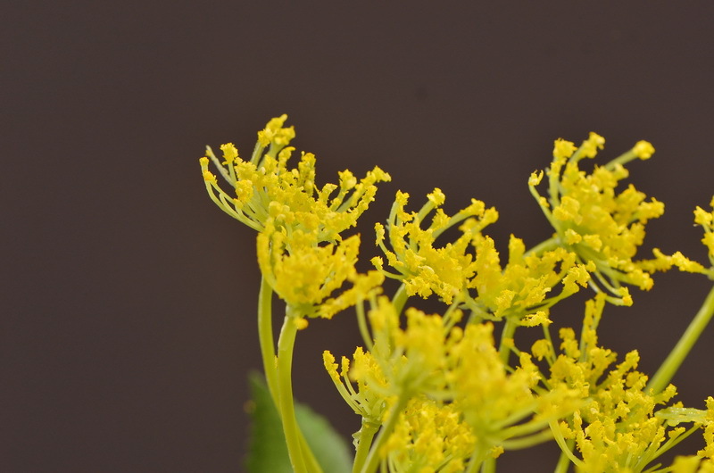 Wholesale of artificial lace and artificial green plants from the original factory, flower arrangement materials, and artificial plants for home, hotel, wedding and decoration pic 29