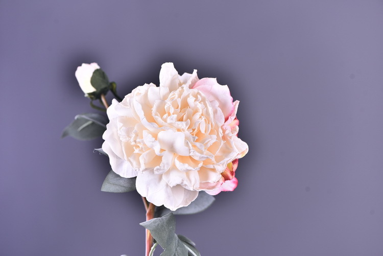 Factory direct sales of 2 simulated peonies, retro charred edge simulated peonies, soft decoration floral art for living rooms, lobbies and homestays pic 26