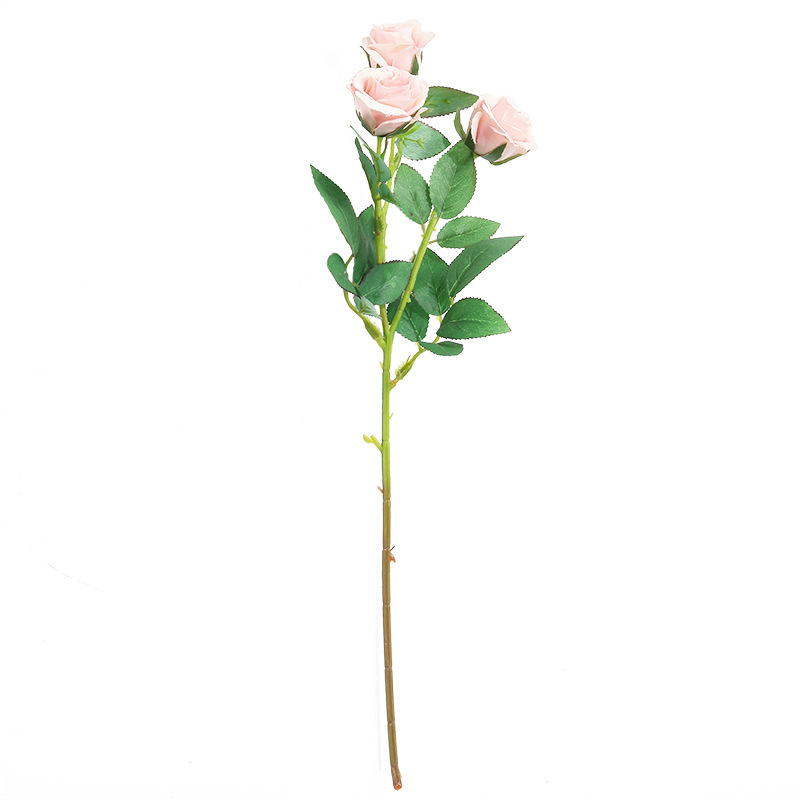 B粉紫