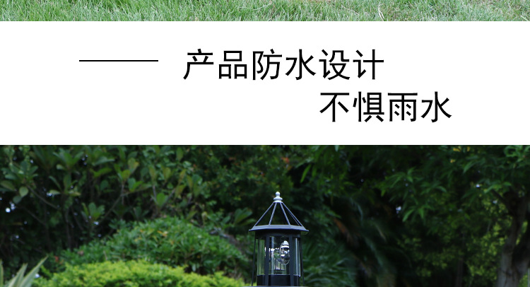 大灯塔头2_09.jpg