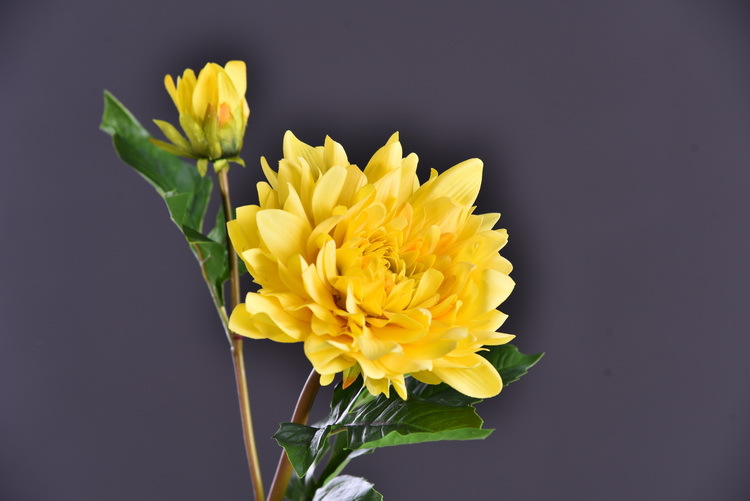Factory direct sales of high-end artificial dahlia with realistic touch, wholesale of high-end artificial dahlia for home decoration, shopping malls and hotels pic 6