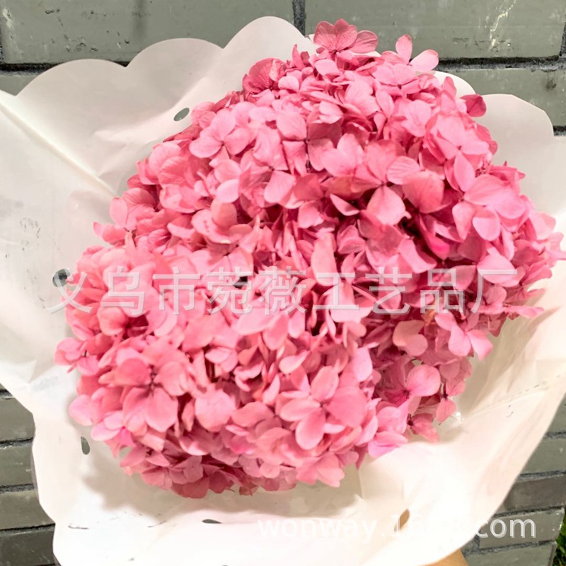 Natural plant, evergreen, large-leaf hydrangea, flower arrangement, handicrafts, soft furnishing grass pic 13