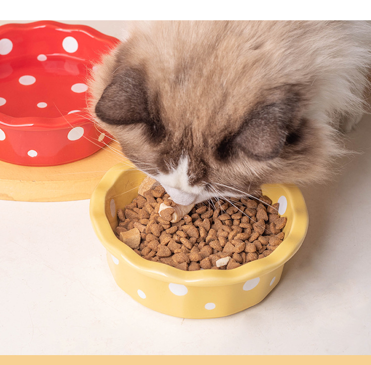 陶瓷猫碗花边波点宠物碗防黑下巴猫食盆猫粮碗小型犬泰迪宠物用品详情7