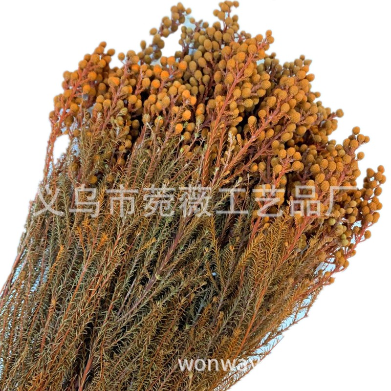 Yunnan Yongsheng Preserved fresh Flower Pepper Bean Flower Art Photo Frame, Floating bottle, special for flower shops pic 4