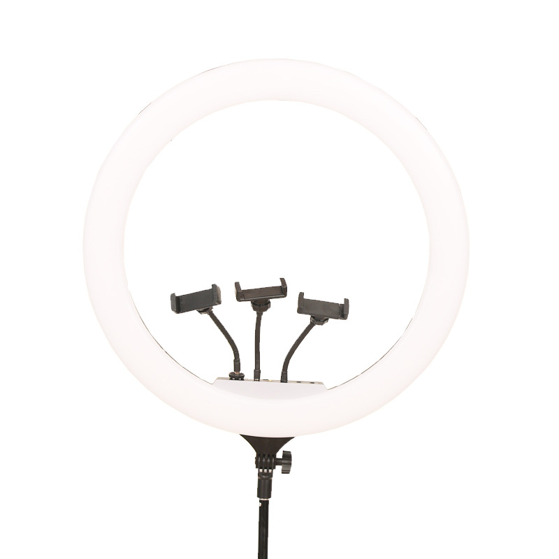 1 - 副本 - 副本 - 副本