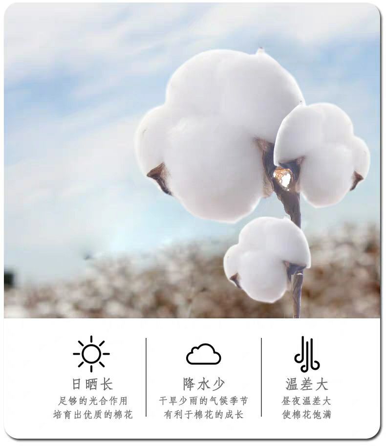 QQ图片20190712113235