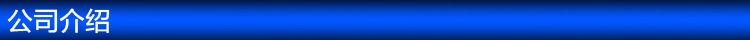 公司介绍