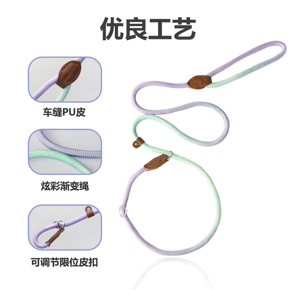 Durable thick nylon P-chain dog leash, explosion-proof and scratch-resistant pet leash pic 3