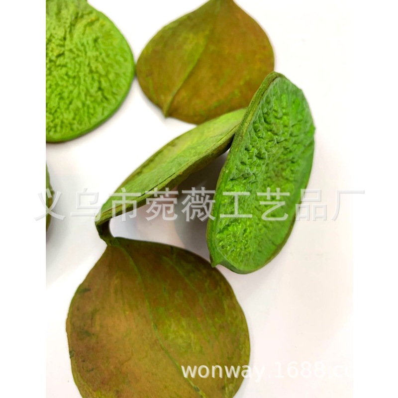 Natural plant dried fruits, small pumpkins, flower arrangements, handicrafts, soft furnishings, grass pic 5