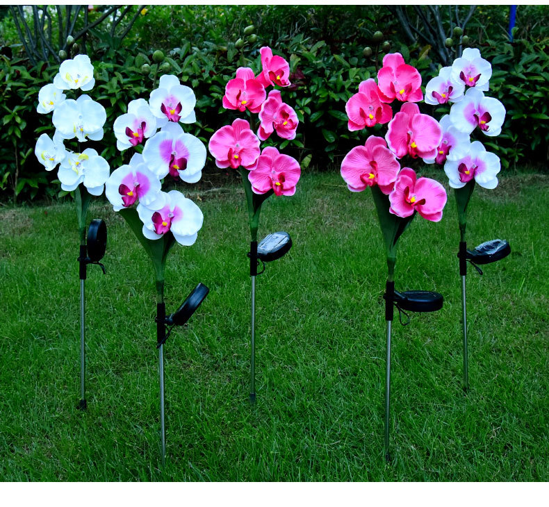 Cross-border solar lamps, simulated flower Phalaenopsis, ground insert lamps, outdoor courtyard lamps, landscape, festival and garden decorations pic 24