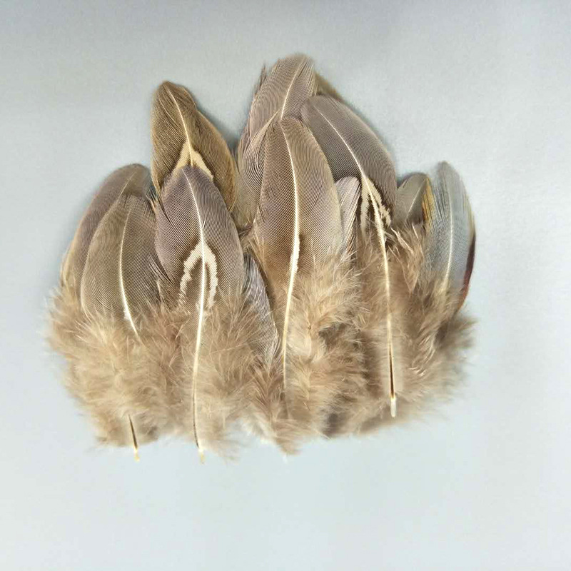 厂家批发珍珠鸡毛彩色羽毛 服装DIY手工工艺品饰品耳环材料野鸡毛详情31