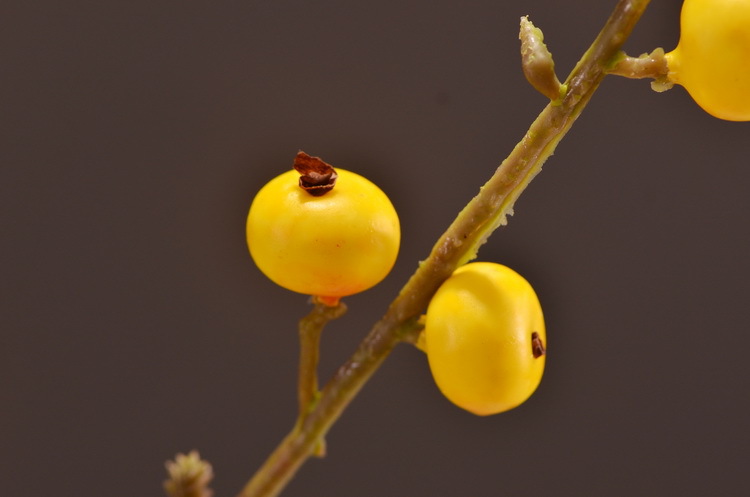 Artificial rosehip, artificial plant fruit, berry, American decorative floral arrangement materials, photography props pic 36