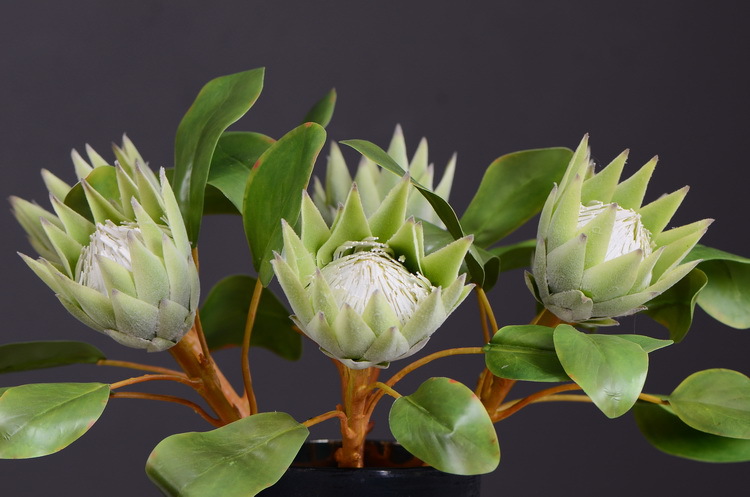 Dongli Flower Industry Factory offers direct sales and wholesale of tropical flowers, including simulated little emperor flowers, Nordic minimalist living room and home decoration simulated flowers, as well as entrance and table flowers pic 9