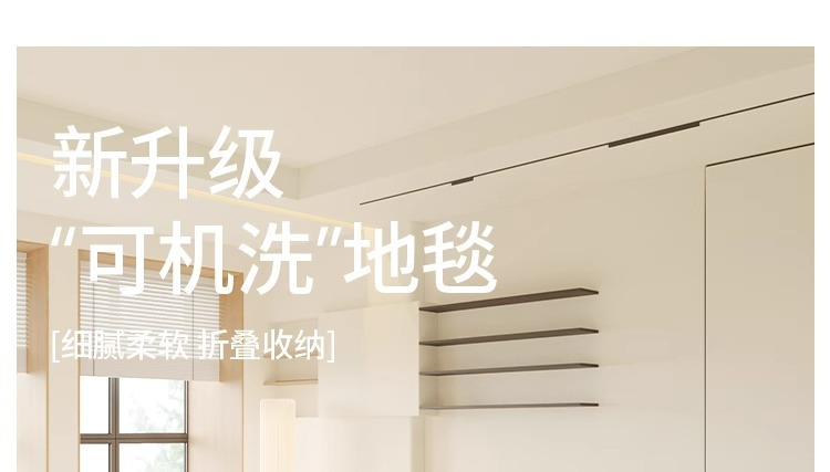 可机洗地毯客厅2024新款秋冬卧室水洗房间床边茶几地垫免洗可擦详情2