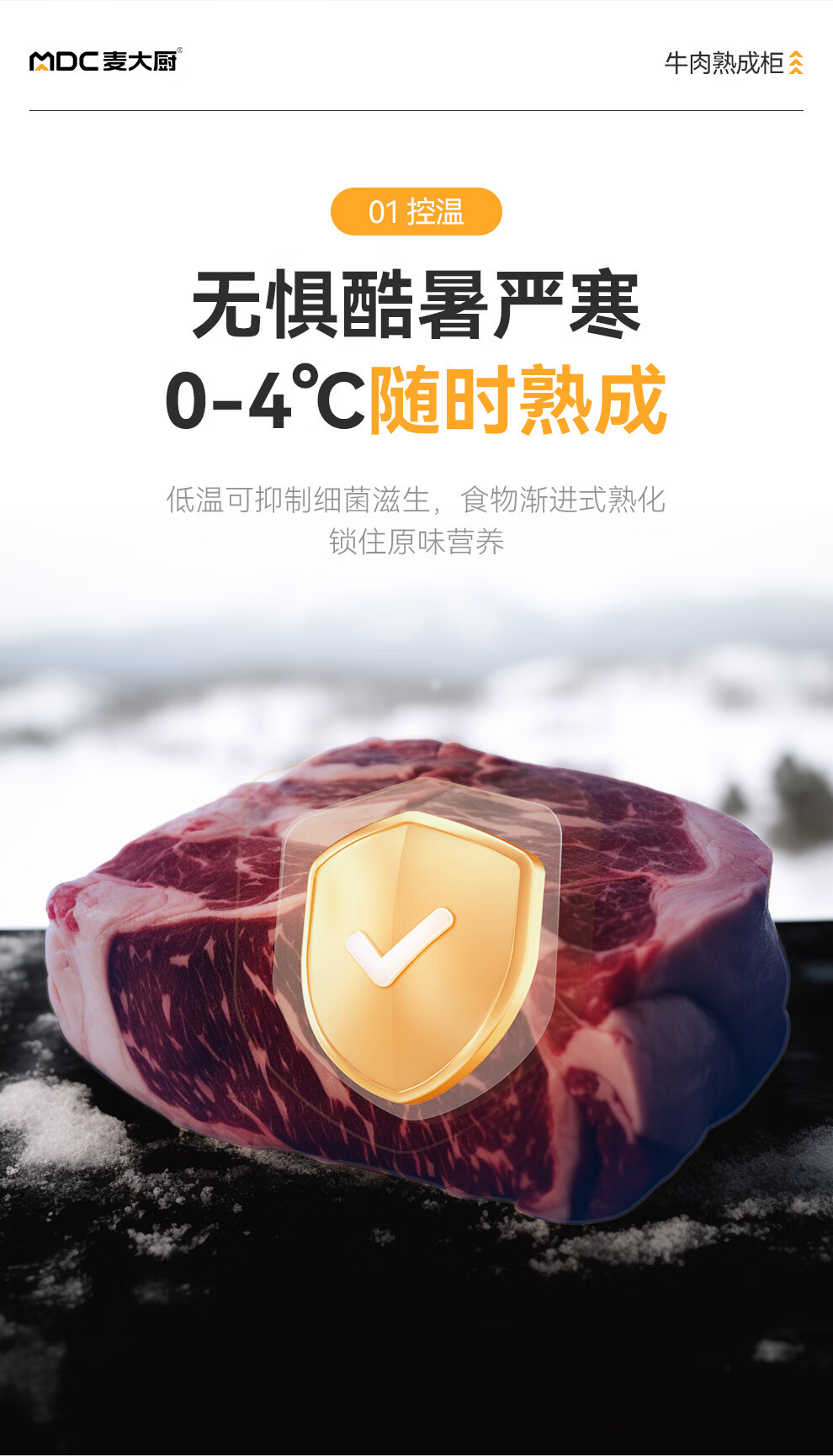 麦大厨家用牛排智能冷藏柜干式恒温柜高端排酸柜牛肉熟成柜商用详情5