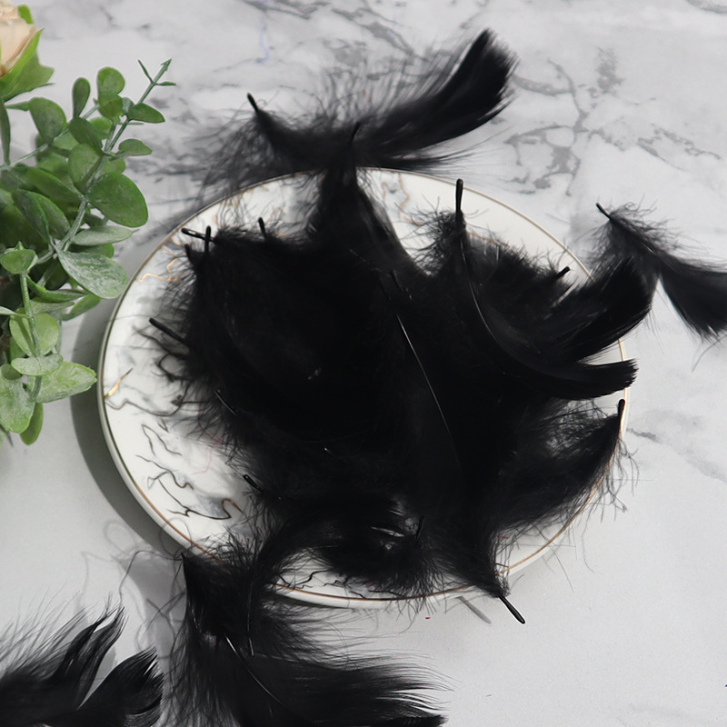 sku8_黑色羽毛（6-12cm）.jpg