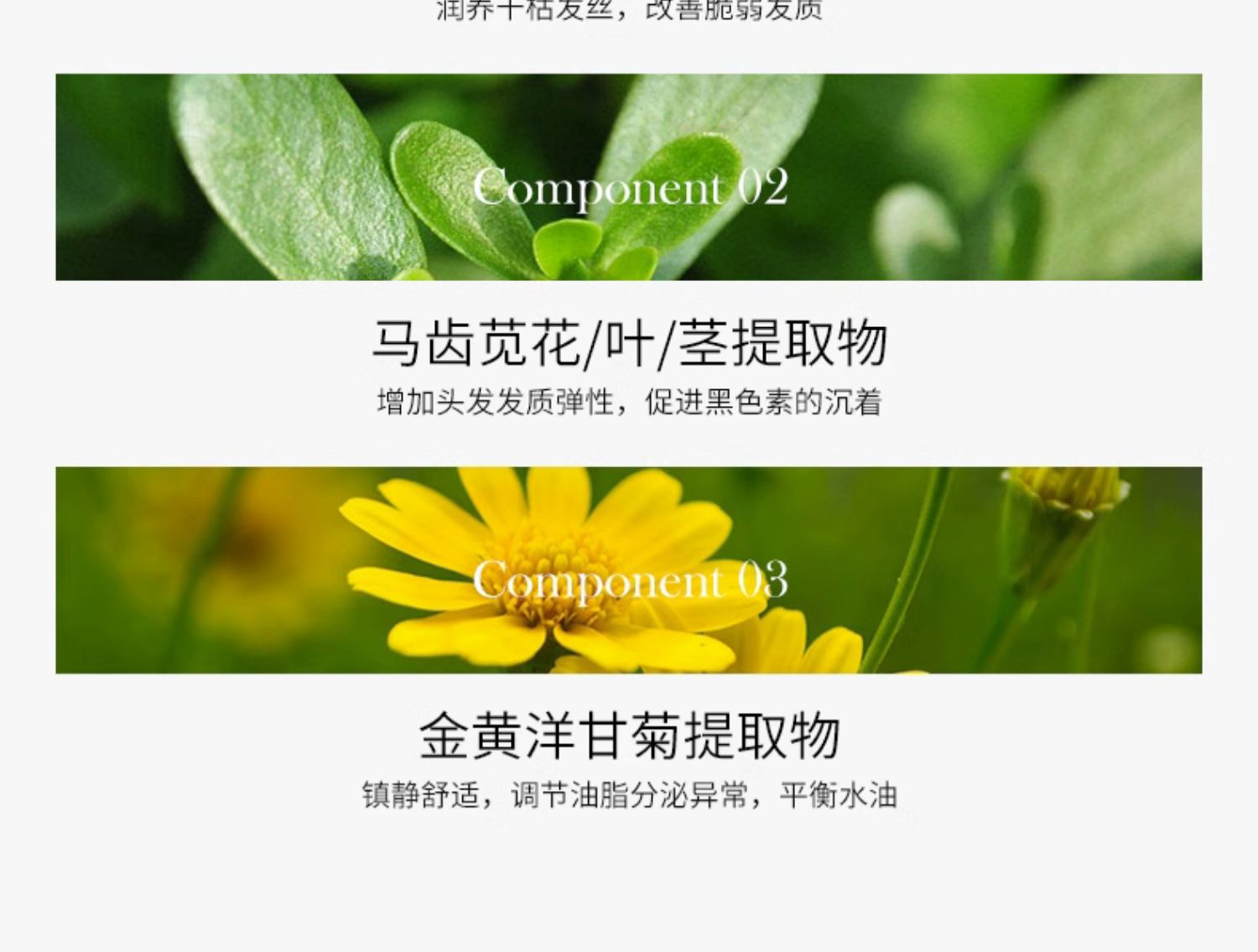 万千美氨基酸洗發水护发素套装蓬松沐浴露滋润控油去屑洗头膏批发详情15