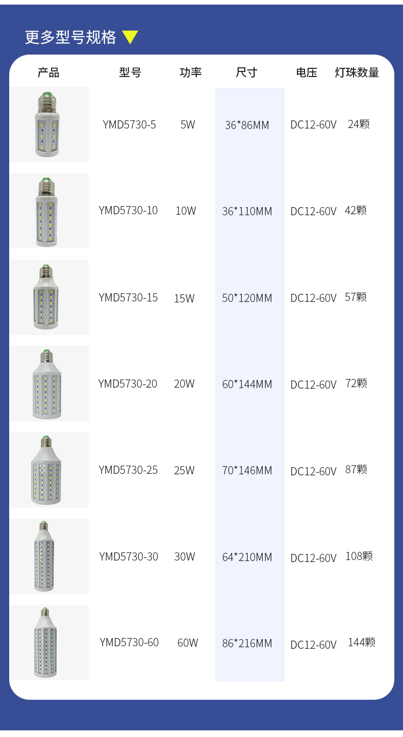 LED玉米灯太阳能灯ACDC24V36V48V60v大功率夜市摊电瓶灯泡详情4