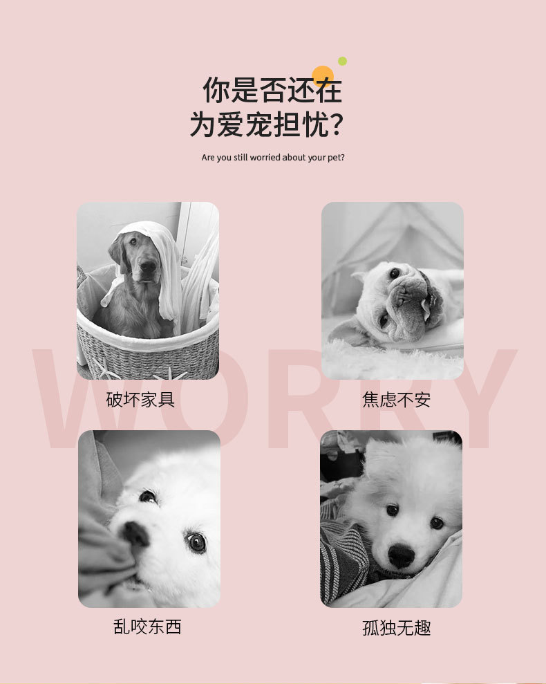 批发新款宠物发声玩具可爱耐撕咬狗狗猫咪互动神器自嗨磨牙尖叫鸡详情2