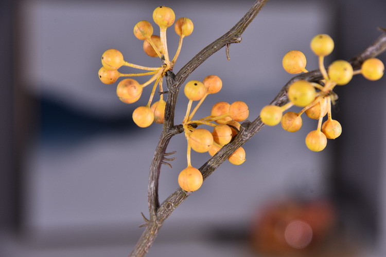 Lanjin Artificial Fruit Factory Direct Sales, wholesale of artificial berries, artificial green vine fruits, Chinese modern and simple decoration, winter green fruits, and mountain prosperity fruits pic 28