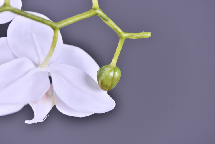 Factory supply of simulated Phalaenopsis, modern, simple and light luxury decoration, artificial flower touch, Phalaenopsis hand-painted soft decoration ornaments pic 10